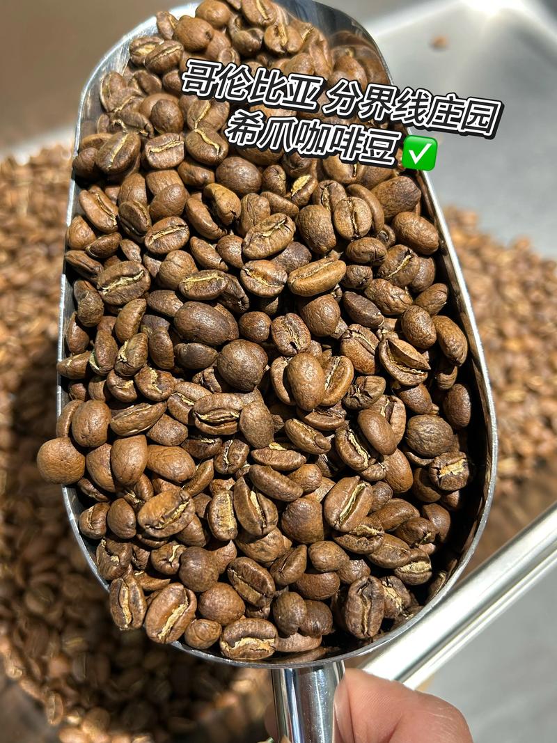 新鲜烘焙的单品咖啡豆特写,油亮的表面