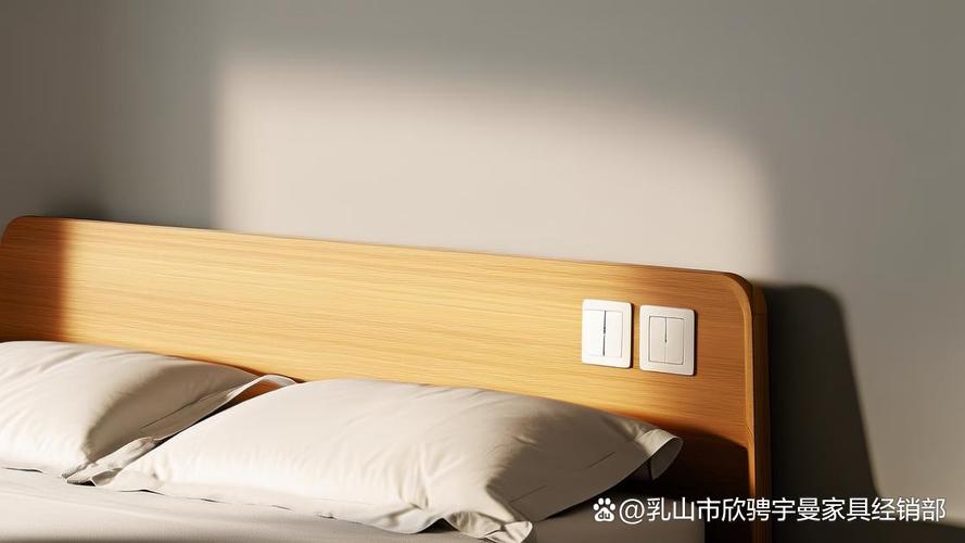 错误家居照明开关位置实景图