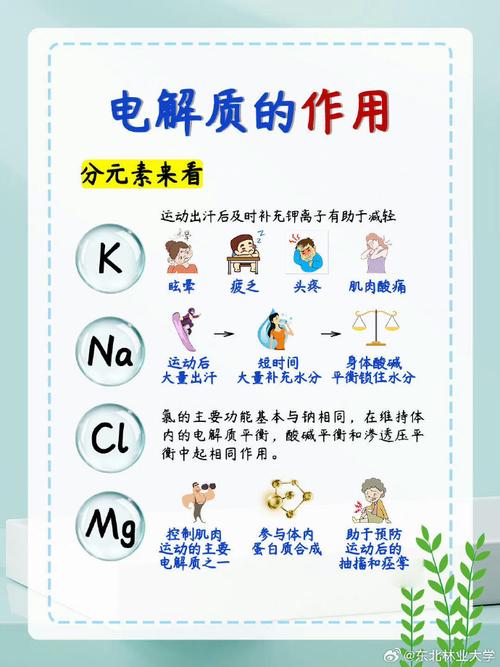 人体常见电解质作用示意图