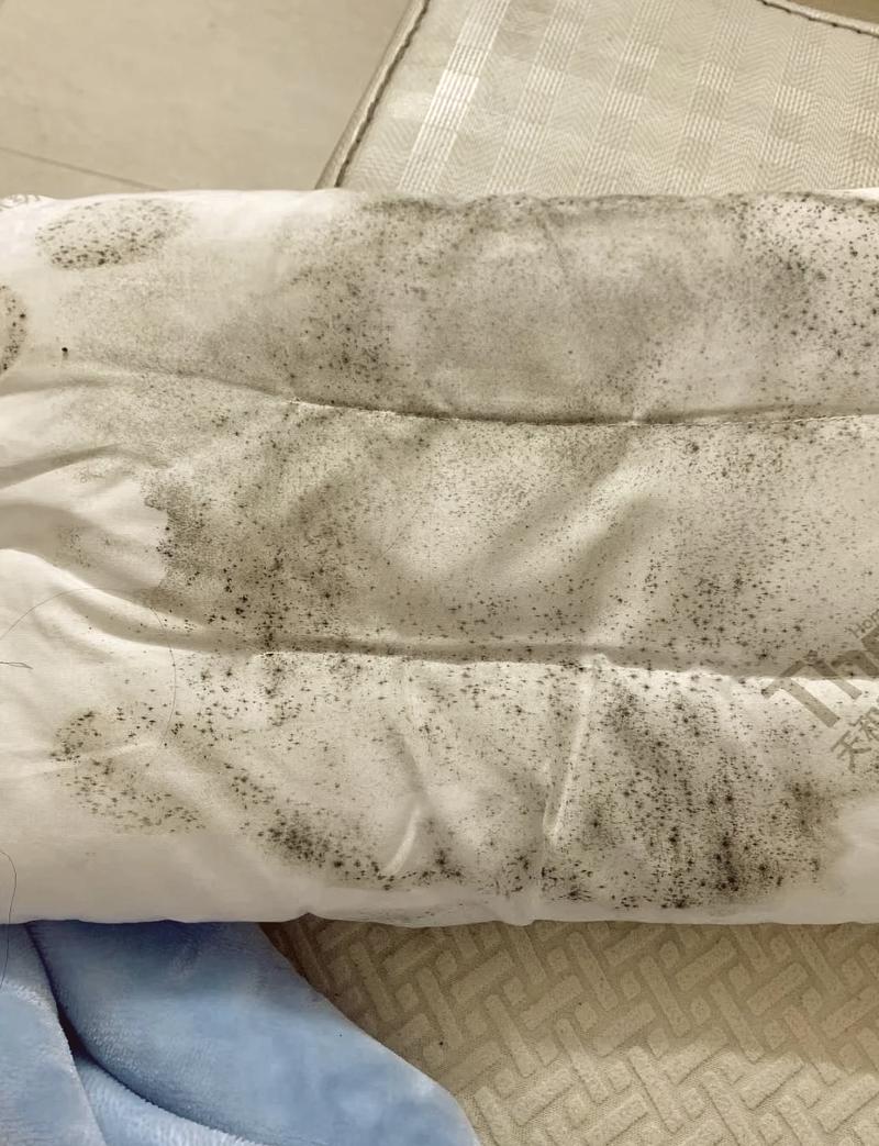 长期未轮换的枕头内部纤维结块实物图