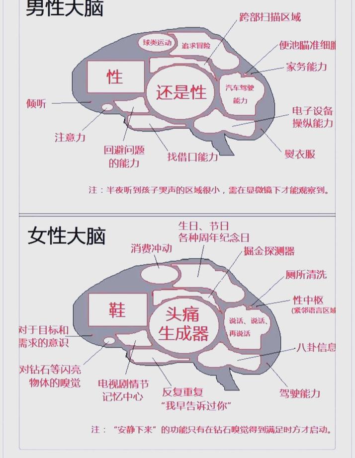 冯诺依曼架构与人类大脑神经元对比图