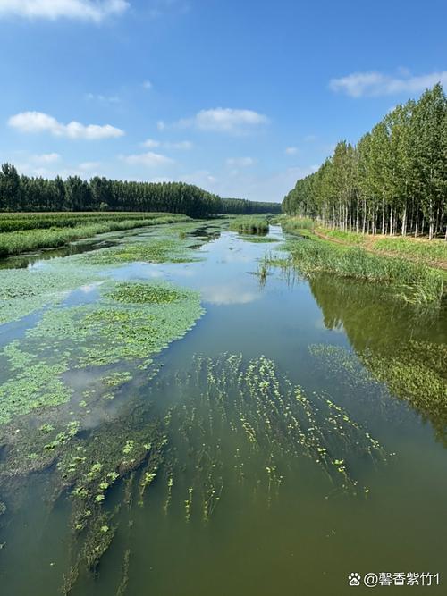 南漳漳河春日清澈河岸水景