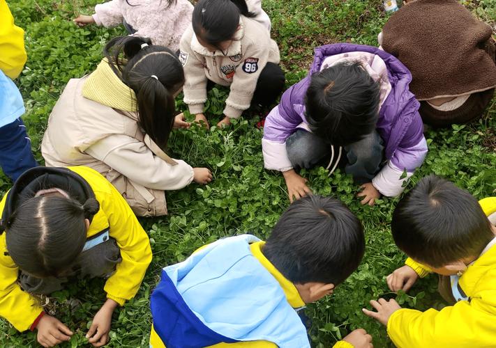 学前教育儿童户外观察自然游戏活动照