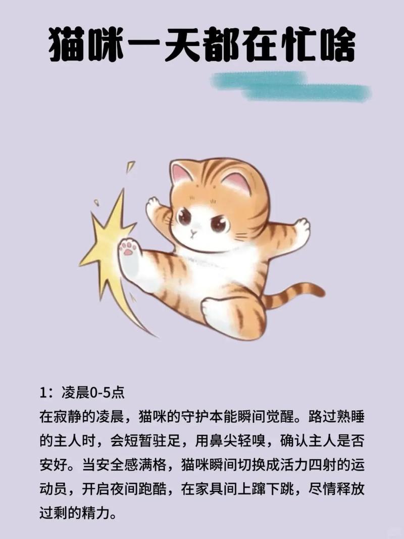 3. 怎么让猫和你同步作息?