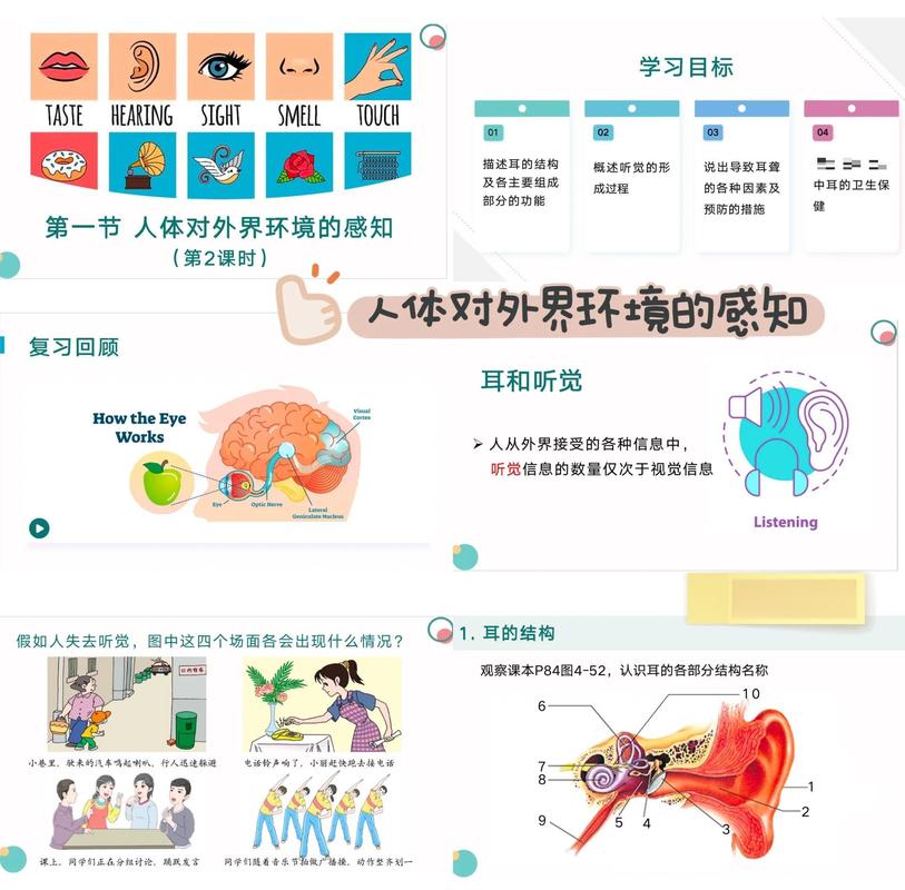四、气味和听觉,被忽略的隐藏维度