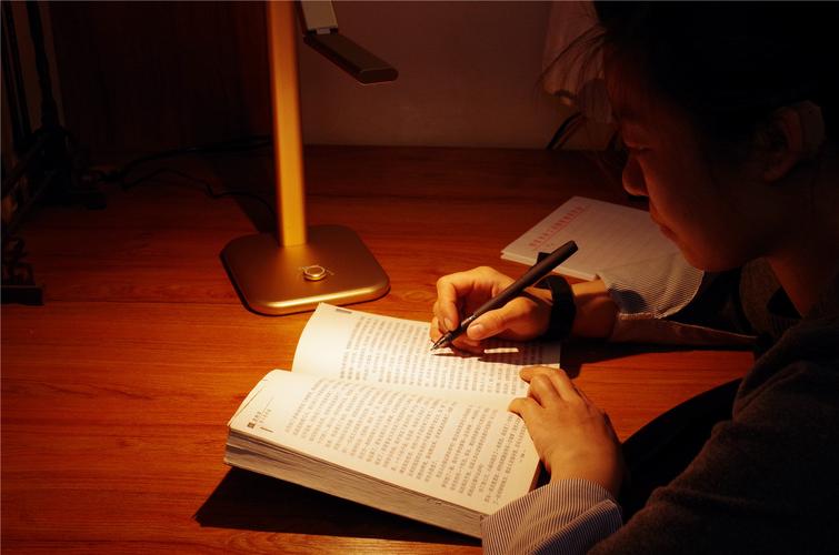 深夜台灯下学生查阅教授论文的笔记本特写