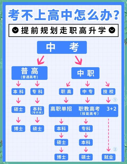 2024国内职高升学方向流向图