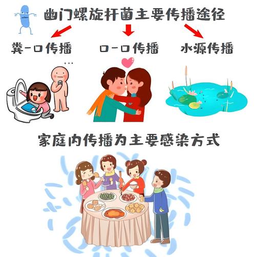 家庭餐桌幽门螺杆菌传播路径示意图