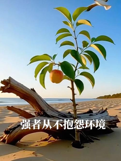 最磨人的，是对环境的挑剔