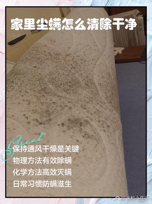 普通人能坚持的尘螨居家防控，都是小事，不难做