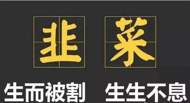 别被碳中和的新概念割了韭菜