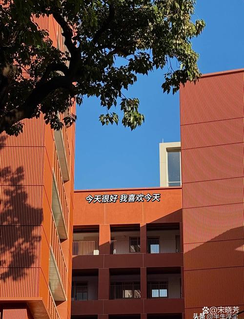 不用追完美氛围，舒服比什么都重要