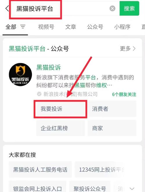 黑猫投诉平台算法荐股消费者投诉页面