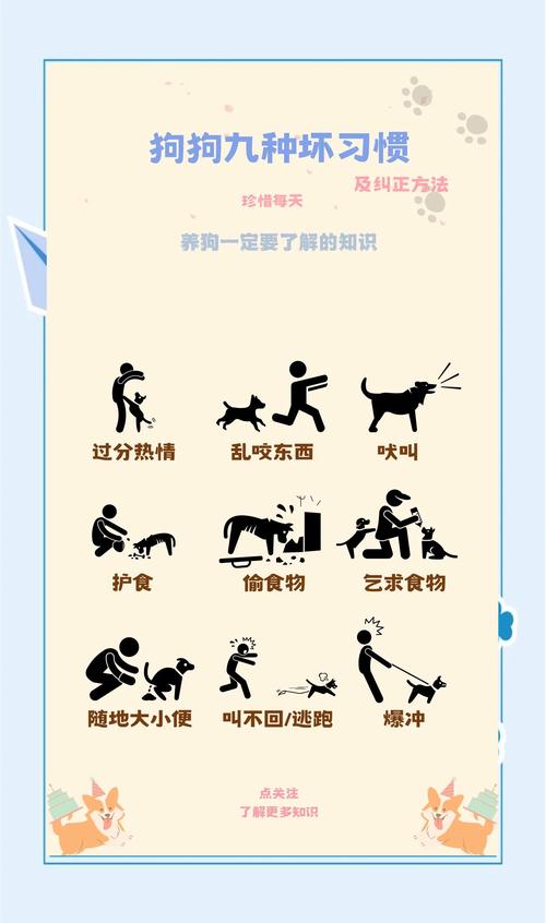 改乱吠,记住这几个能直接用的小方法