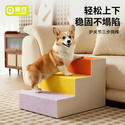 雷雨夜躲在沙发底发抖的宠物柯基