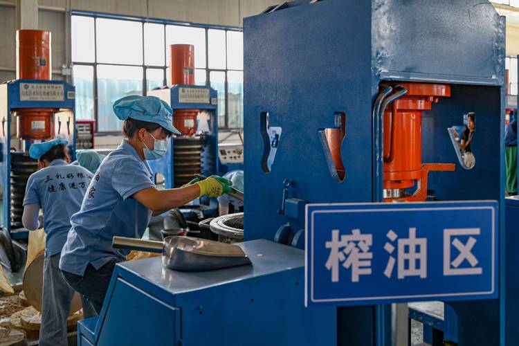 榨油机生产车间实时质检实拍