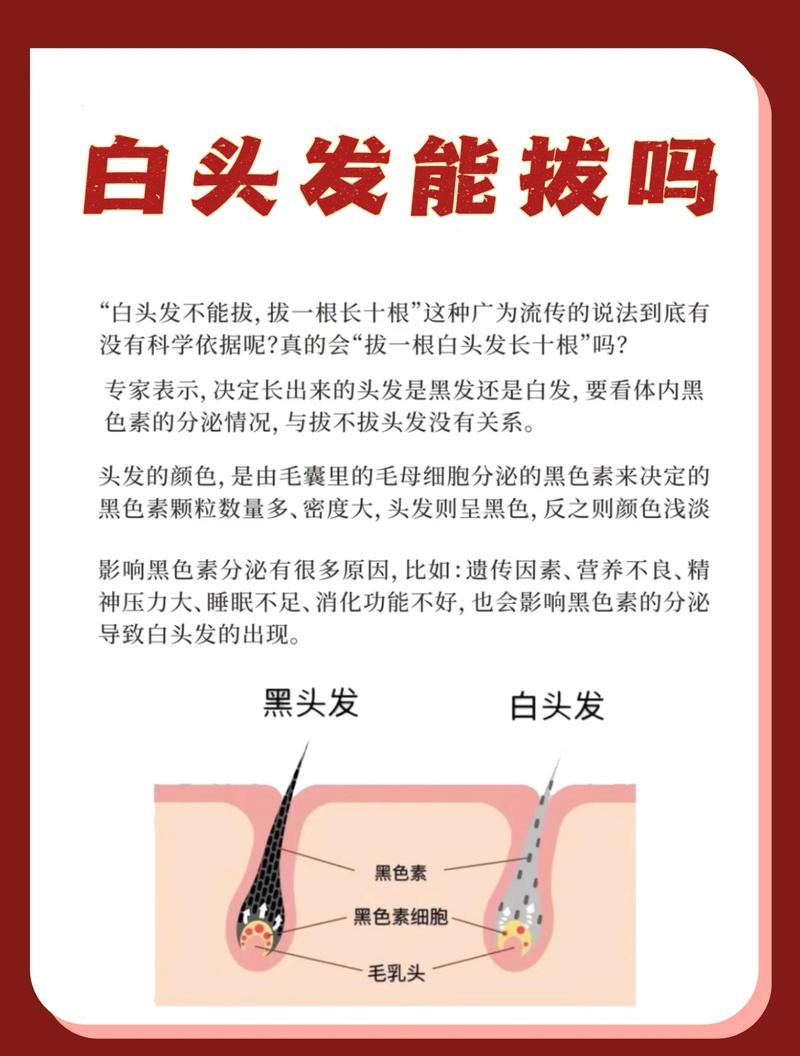 对付零星白头发的安全办法