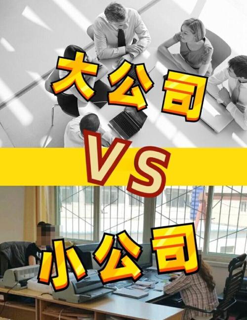 大公司与小公司工作场景对比漫画