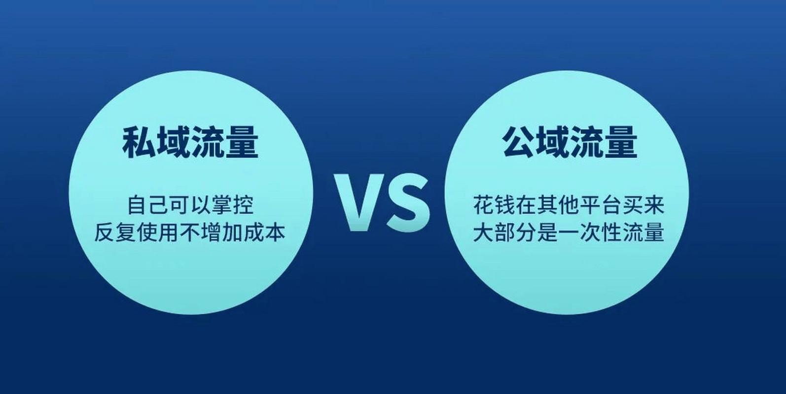 SEO自然流量与付费流量对比示意图