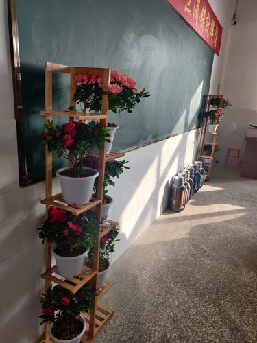中学教学楼转角学生布置的花瓶花架