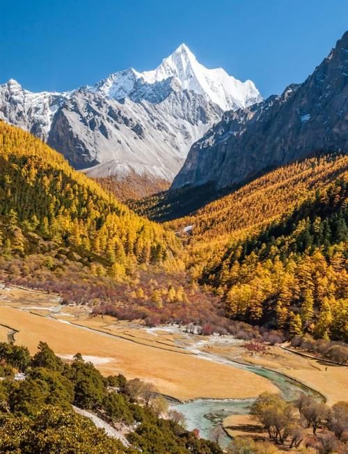 四姑娘山盘山公路秋季沿途彩林景观
