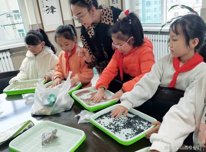 小学生围绕枯萎植物探究讨论场景
