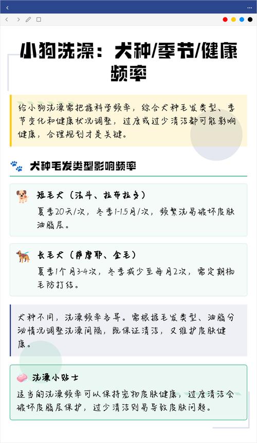 不同毛发类型宠物洗澡频率参考表