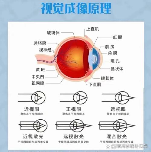 成像系统：被忽视的“眼睛”