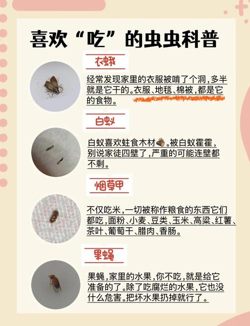 别等虫爬满了才想起收拾，平时的小细节才是防住的关键
