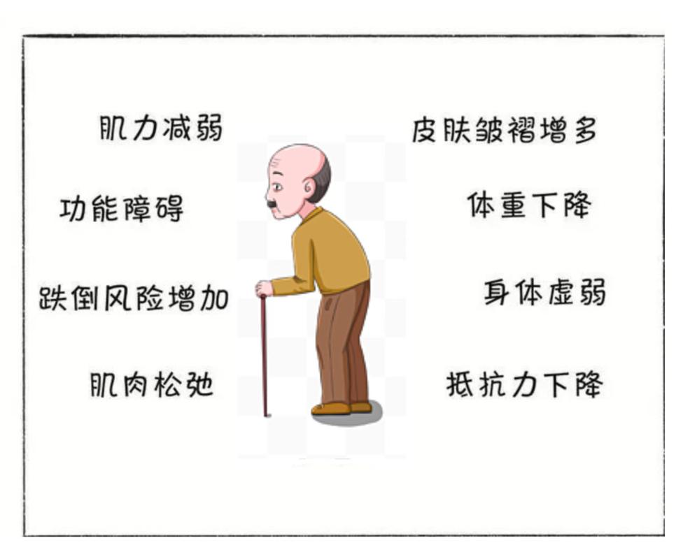 老年肌少症日常信号自察示意图
