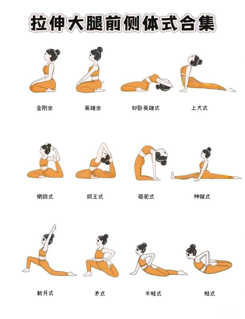 新手瑜伽练习大腿前侧拉伸正确姿势图