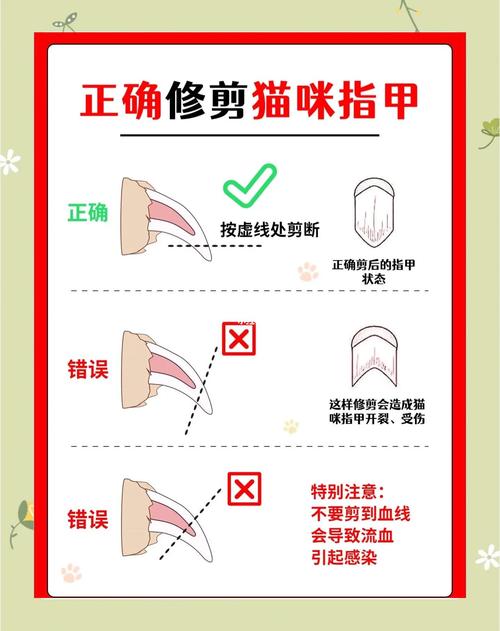 软毛巾包裹挣扎猫咪剪指甲示意图