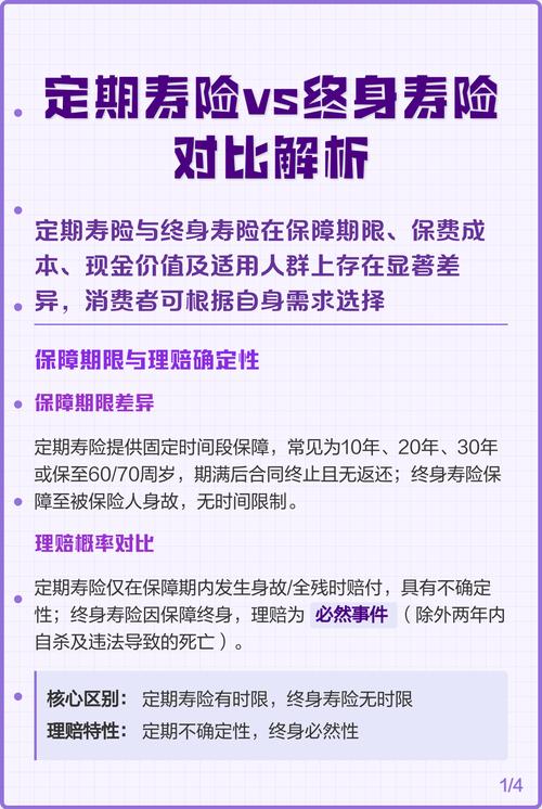 终身寿险与定期寿险保障期限对比示意图