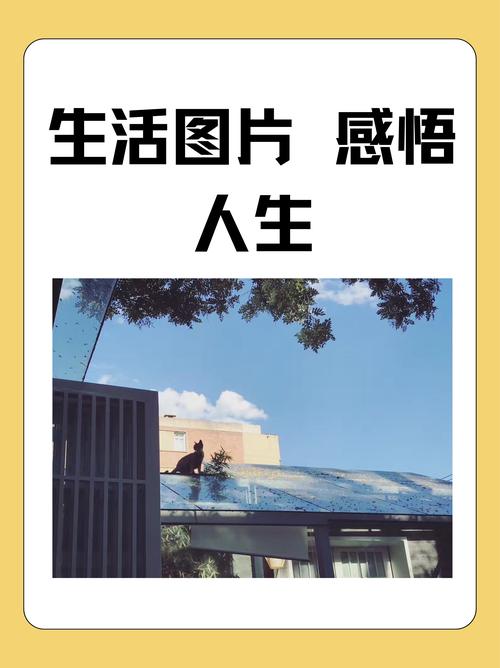 日常感悟型：从细碎日常里冒出来的小灵感