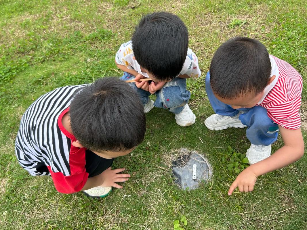 儿童小区楼下蹲看蚂蚁户外活动场景