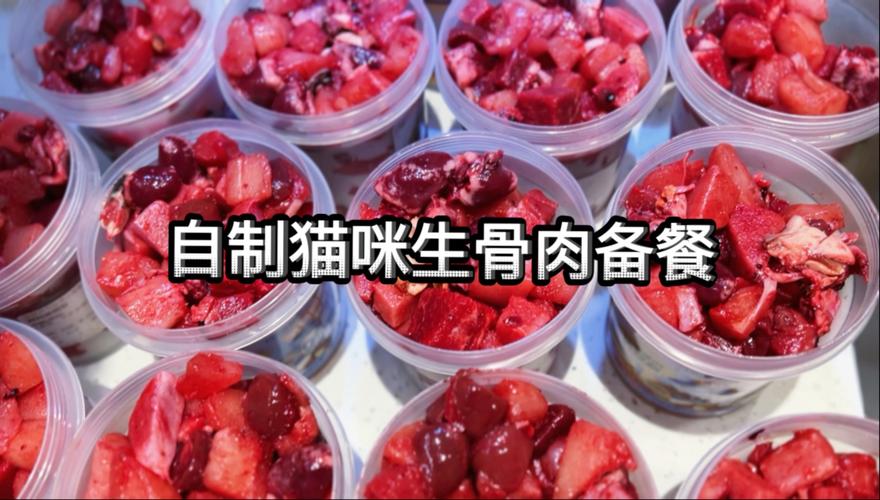 铲屎官手工制作猫生骨肉配方食材摆拍
