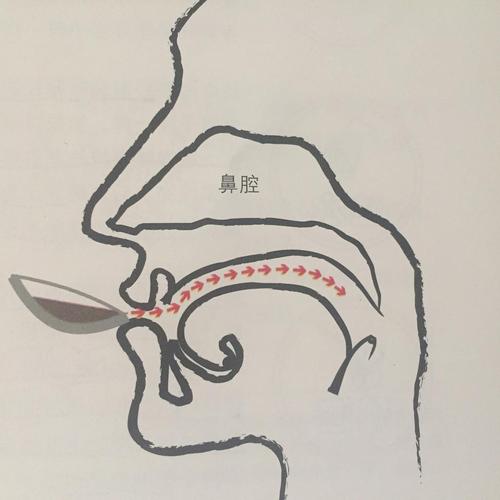 咖啡杯测啜吸动作示意图