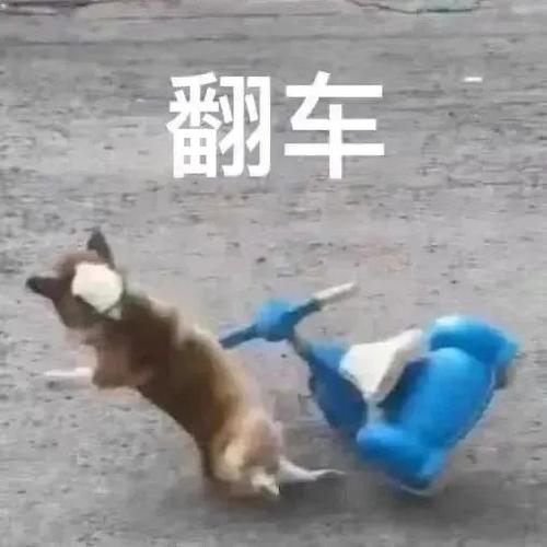 可感觉这东西，搞不好就翻车