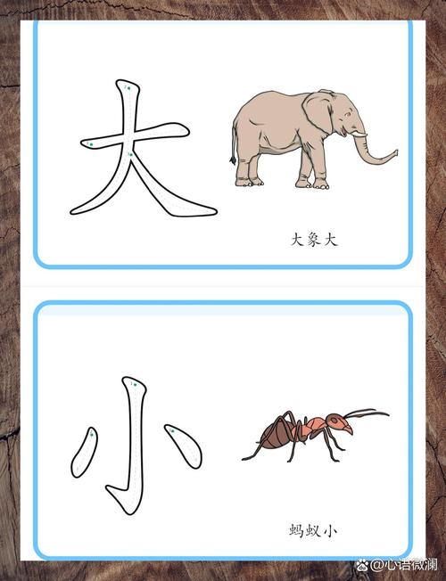 家庭客厅地砖上蚂蚁饲养盒贴汉字卡片
