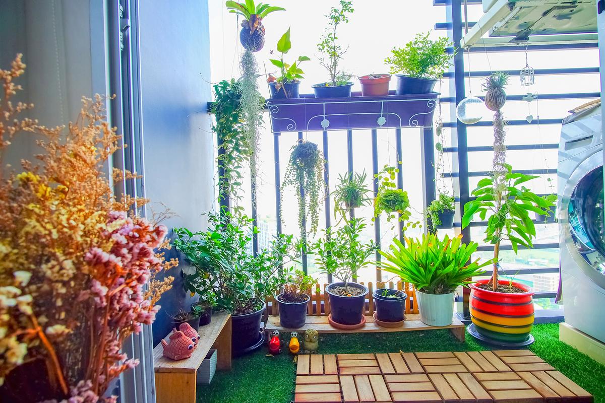 朝南窗台分层摆放绿植光照分布示意图
