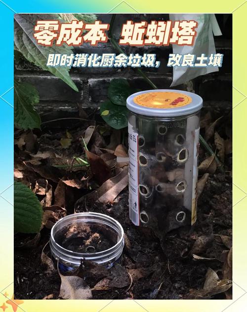 学生用厨余垃圾养殖蚯蚓的生态循环箱