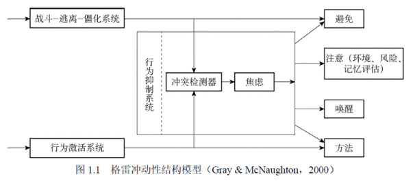 中小微企业动态能力构建低成本路径图