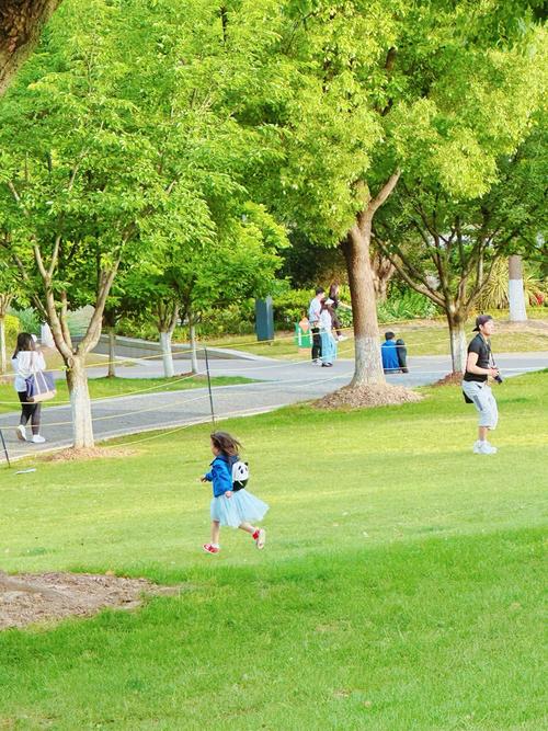 校园可踏入草地儿童玩耍场景