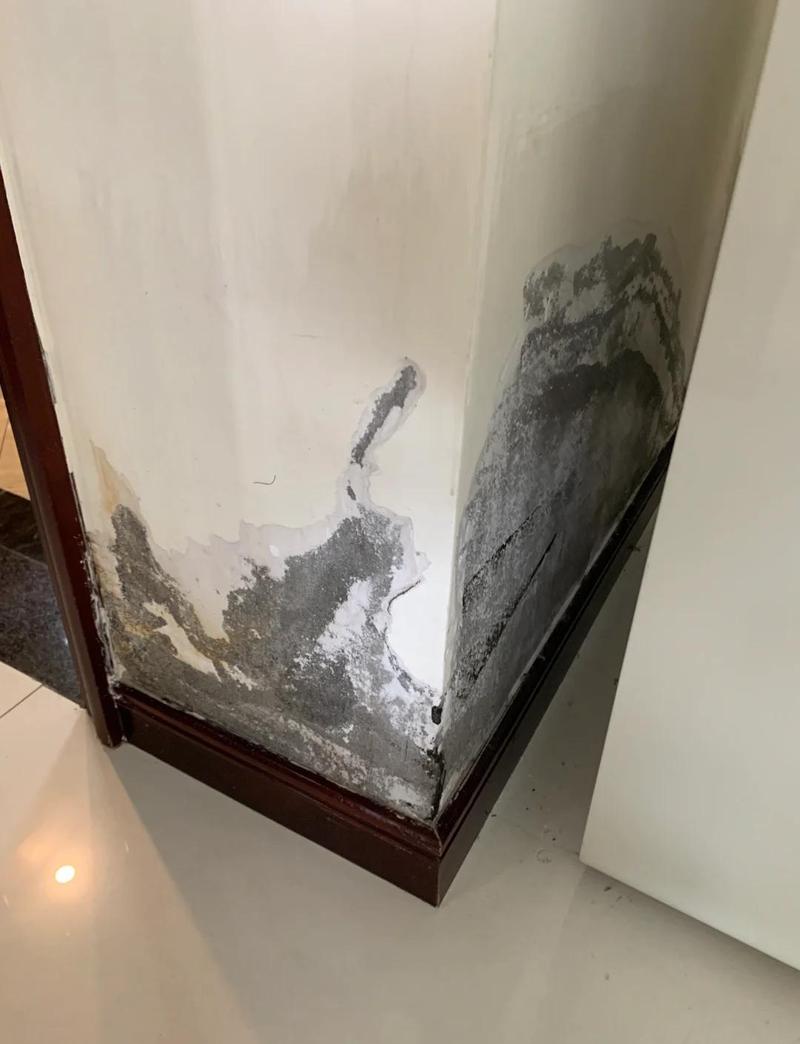 卫生间纸巾架免钉胶脱落墙皮