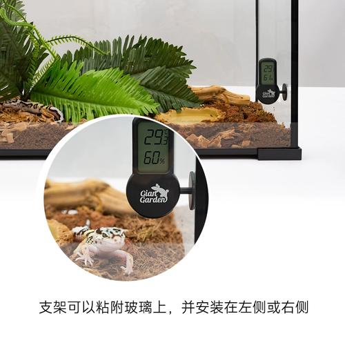 爬宠饲养箱湿度计摆放位置示意图