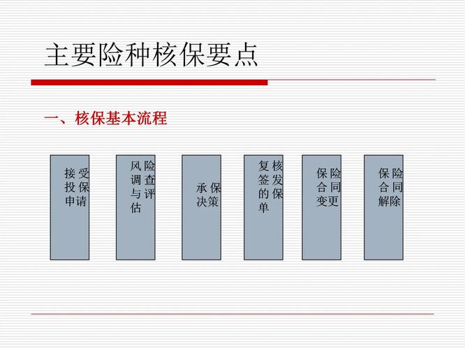 保险投保核保流程示意图