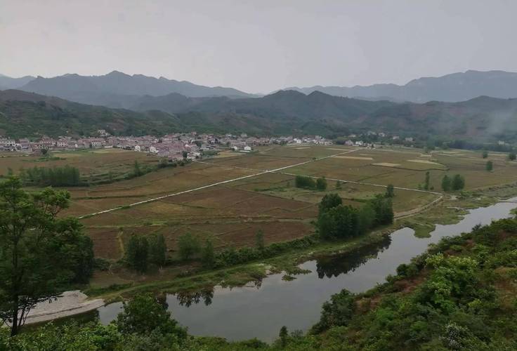 南漳薛坪荆山山腰松树林山涧步道