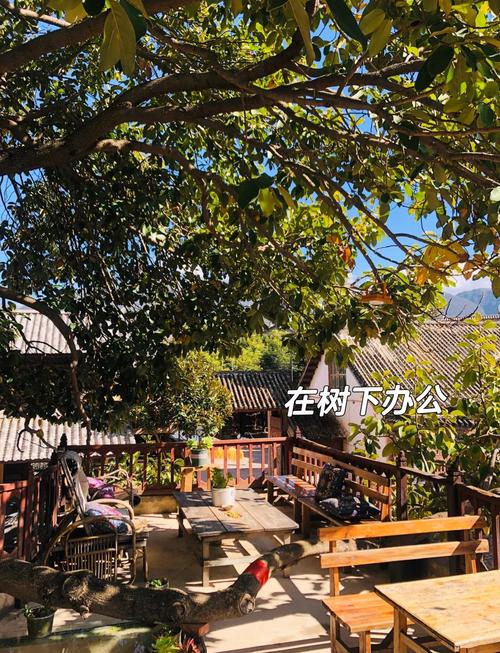 大理才村数字游民共享办公空间实拍