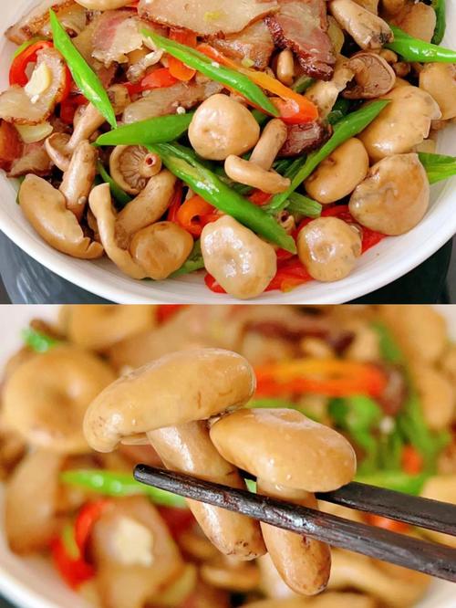 三、枞菌炒腊肉:山珍与时间的对话