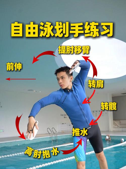 自由泳身体水平位置侧视图
